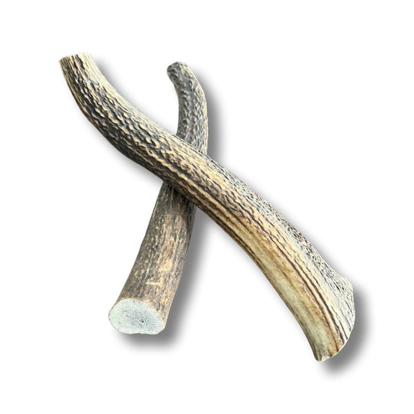 Canadian Whole Deer Antler Chew – BRB Pets
