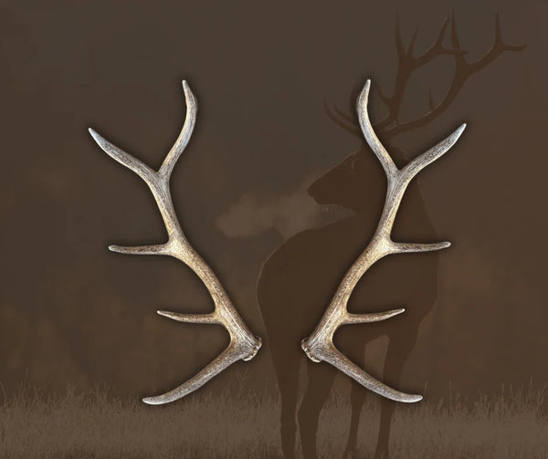 Natural antlers best sale