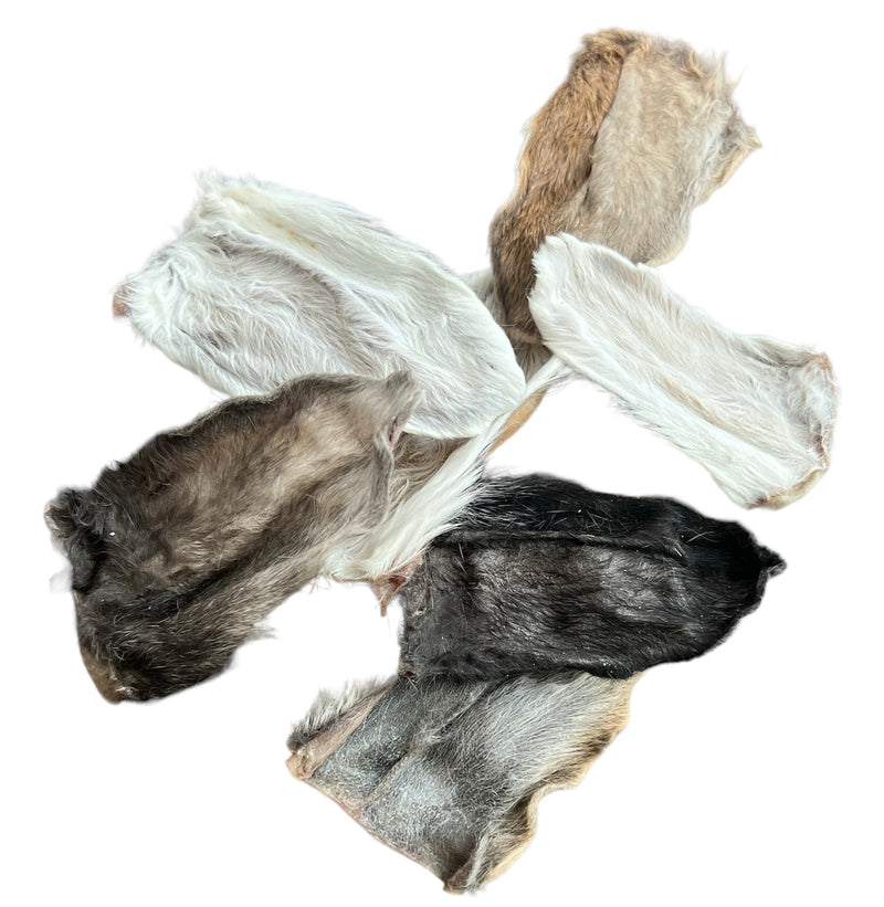 Dehydrated rabbit ears top for dogs