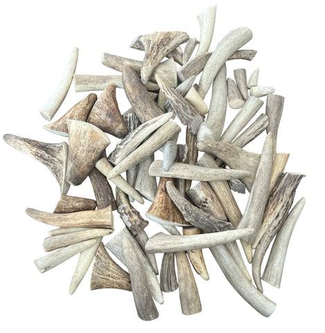 1LB Antler Tips  for Jewelry Earrings,Pendants,Decorative Crafts